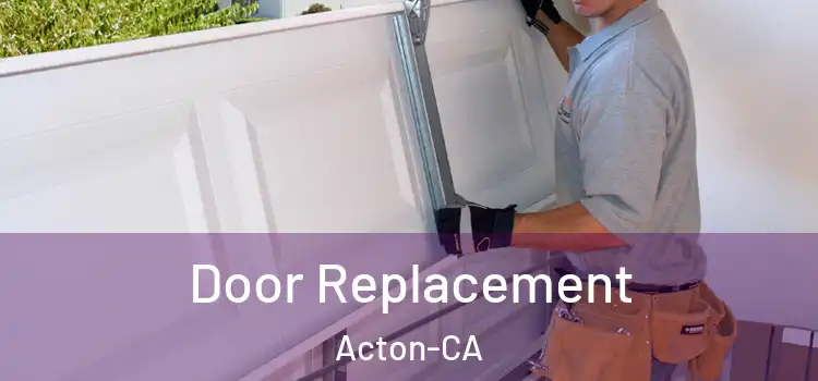 Door Replacement Acton-CA