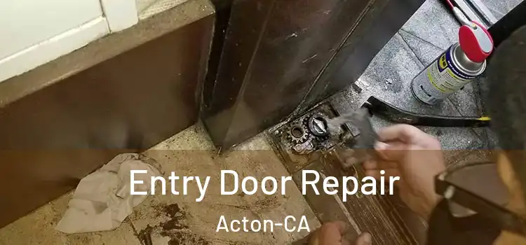  Entry Door Repair Acton-CA