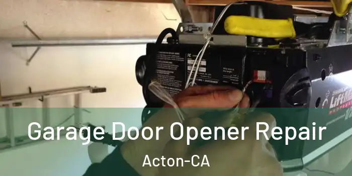  Garage Door Opener Repair Acton-CA