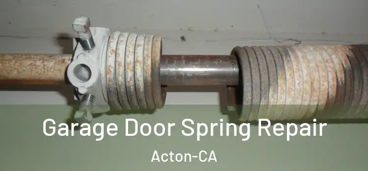  Garage Door Spring Repair Acton-CA