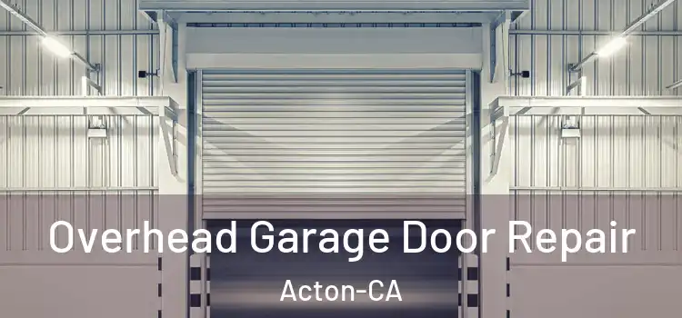  Overhead Garage Door Repair Acton-CA